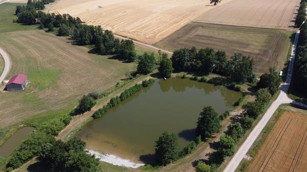 90-jähriger Mann tot aus Badeweiher geborgen: - Frau entdeckt leblose Person - Feuerwehr kann leblosen aus Wasser ziehen - Arzt kann nur noch den Tod feststellen - Kriminalpolizei hat Ermittlungen zur Klärung der Todesursache aufgenommen - Erste kriminalpolizeiliche Maßnahmen ergeben keine Hinweise auf Fremdeinwirkung