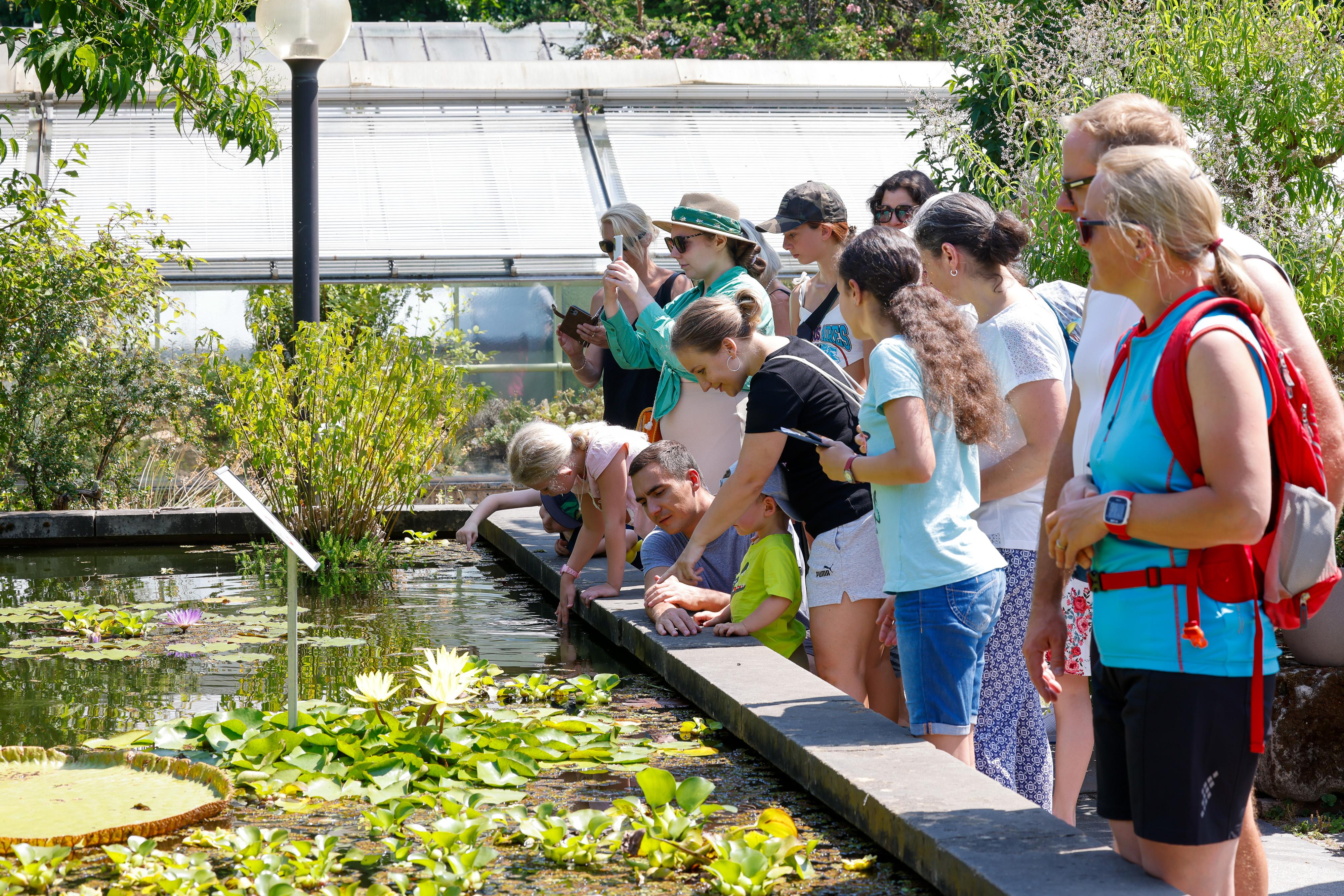 Viele Highlights beim Tag des Botanischen Gartens in Erlangen