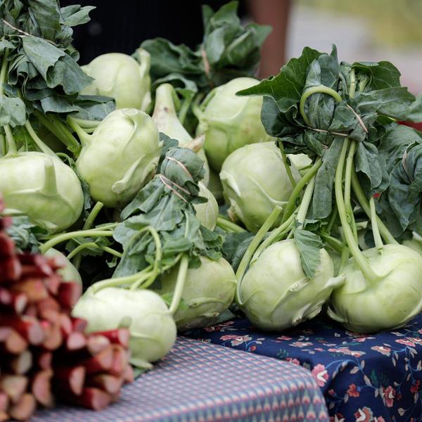 weitere interessante Themen: