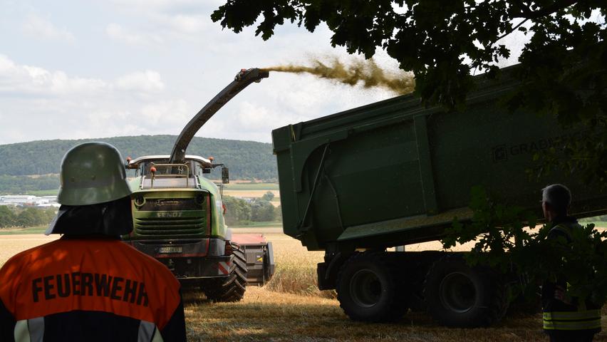 Frühe Ernte: Der Mähdrescher kam zum Einsatz, danach wurde die Fläche zur Sicherheit bewässert. Frühe Ernte: Der Mähdrescher kam zum Einsatz, danach wurde die Fläche zur Sicherheit bewässert.