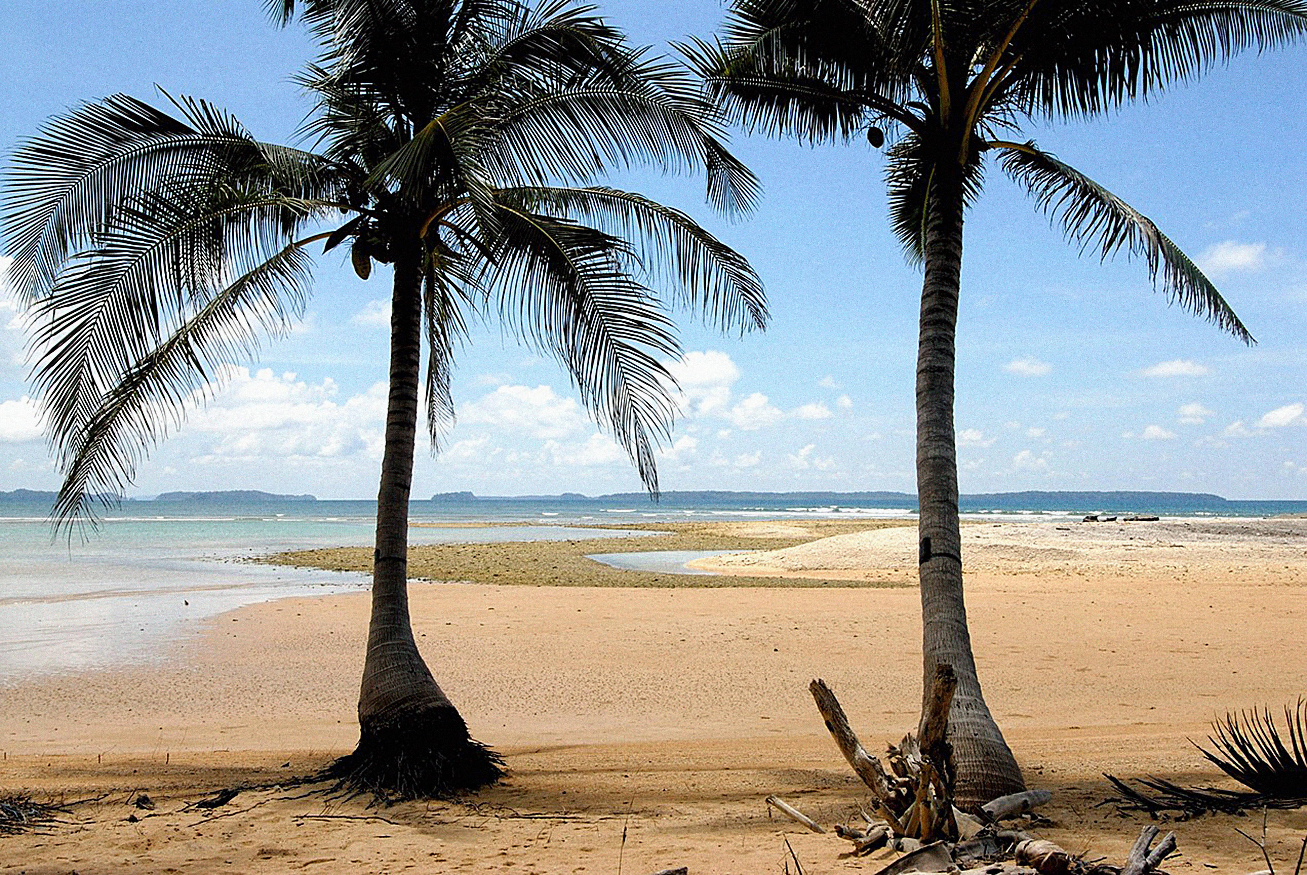 Radhanagar Beach, auch bekannt als Beach Nr. 7, auf Havelock Island in Indien, ist ein Juwel im Indischen Ozean. Radhanagar Beach ist von dichtem Wald und üppiger Vegetation umgeben, was ihm ein natürliches und abgeschiedenes Ambiente verleiht. Eine Attraktion am Radhanagar Beach ist Neil's Cove, welches Sie nach einem 10-minütigen Spaziergang entlang des Strandes erreichen können. Neil's Cove ist eine unberührte Lagune und zählt zu den weniger bekannten Orten. Hier bieten sich zahlreiche Möglichkeiten für Fotografie.