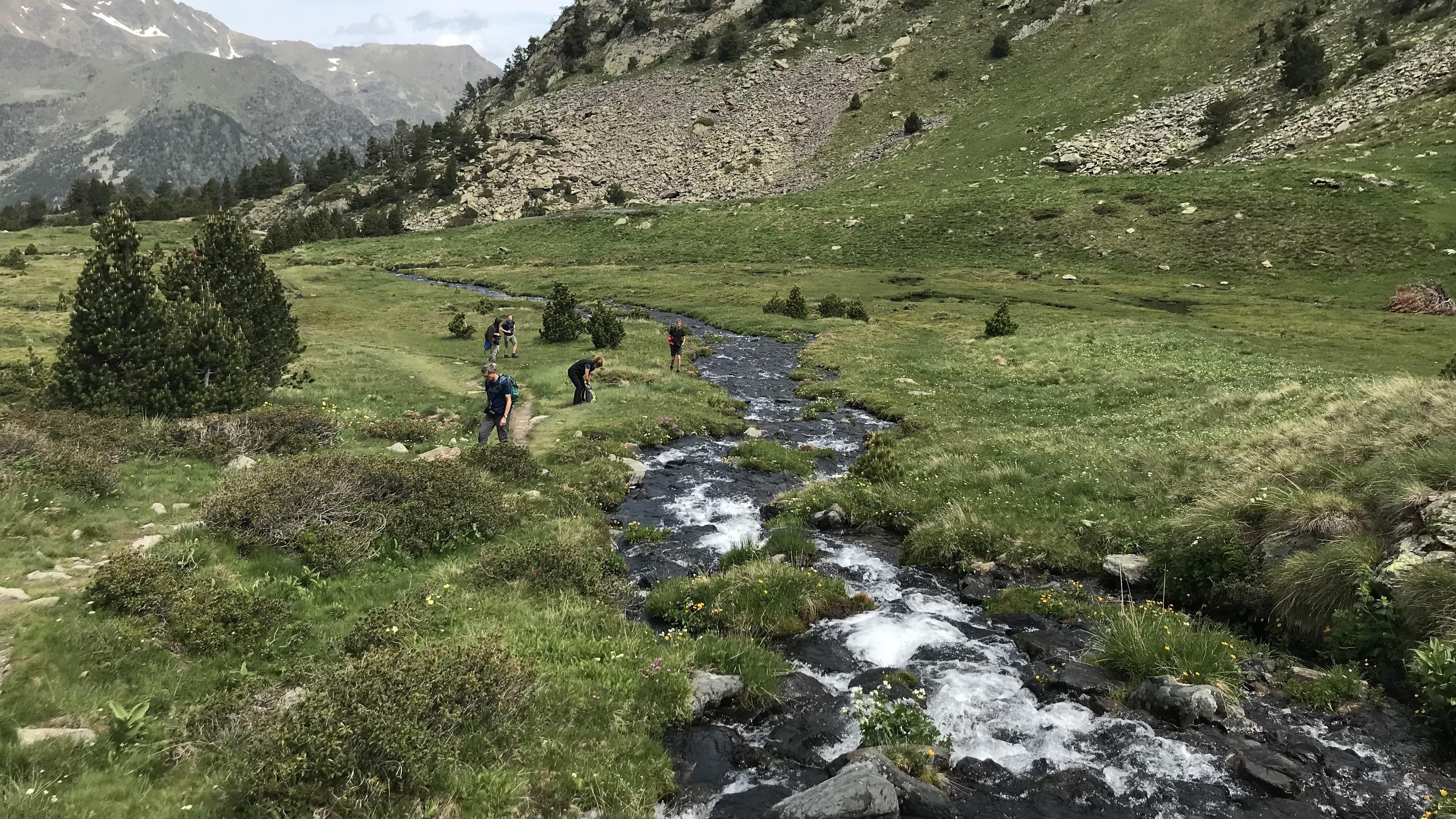 In den Pyrenäen von Andorra wandert man im Frühjahr oft an munteren Bächen entlang. 