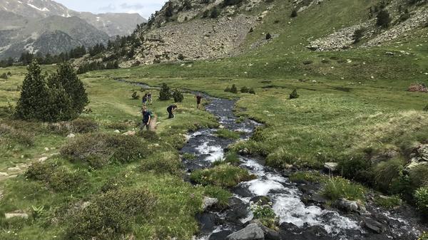 In den Pyrenäen von Andorra wandert man im Frühjahr oft an munteren Bächen entlang.