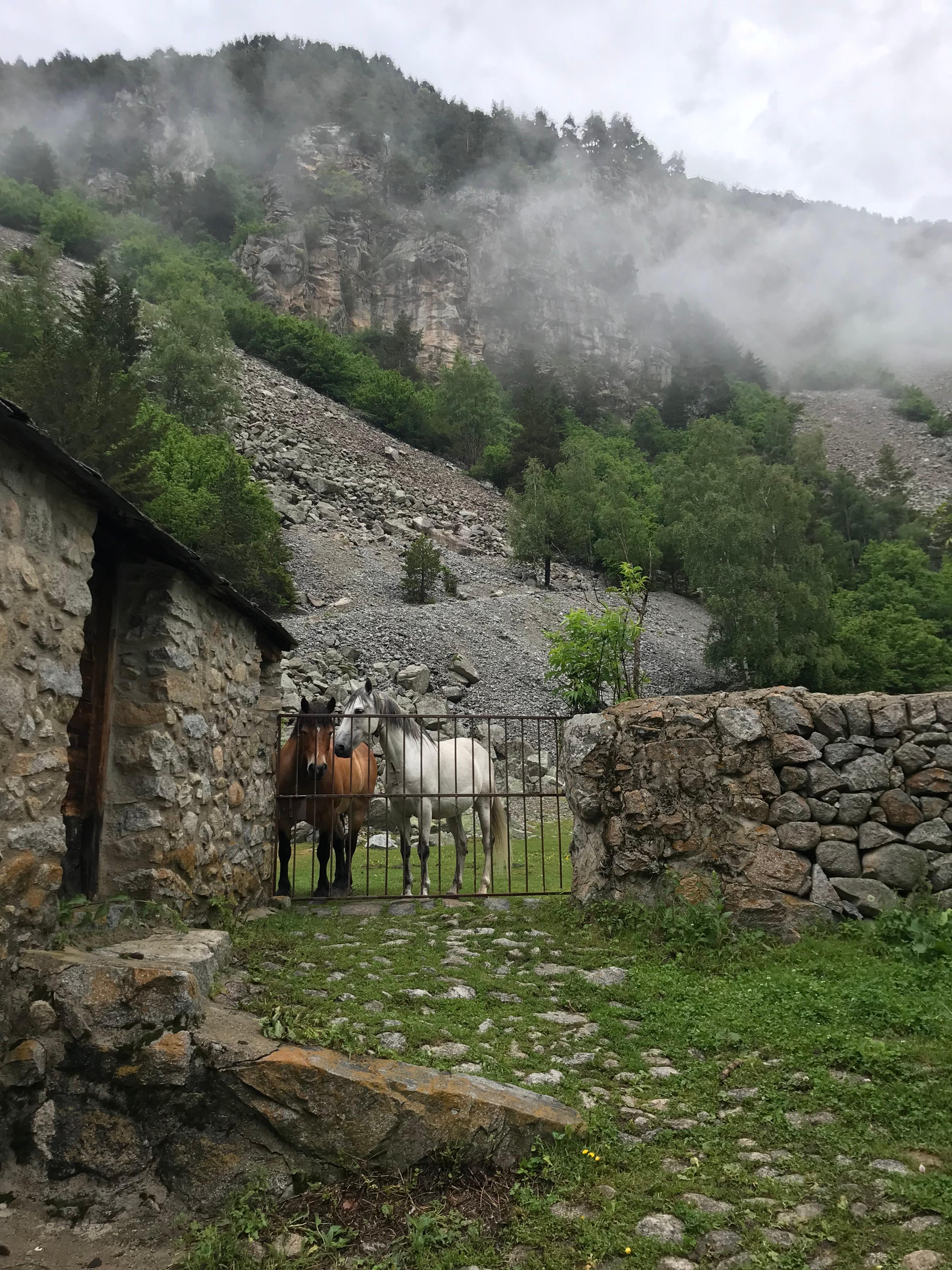 Auch auf Pferde trifft man an der Borda Ràmio im Gletschertal Madriu-Perafita-Claror.