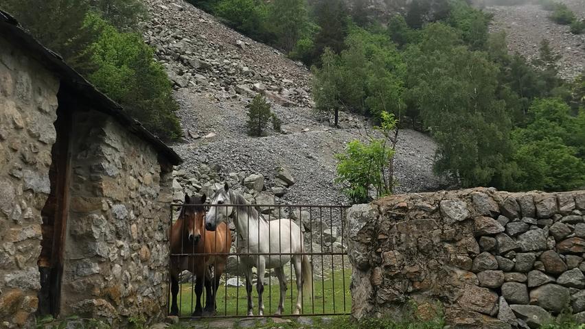 Auch auf Pferde trifft man an der Borda Ràmio im Gletschertal Madriu-Perafita-Claror.