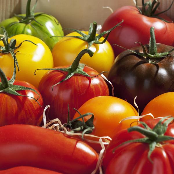 weitere interessante Themen: