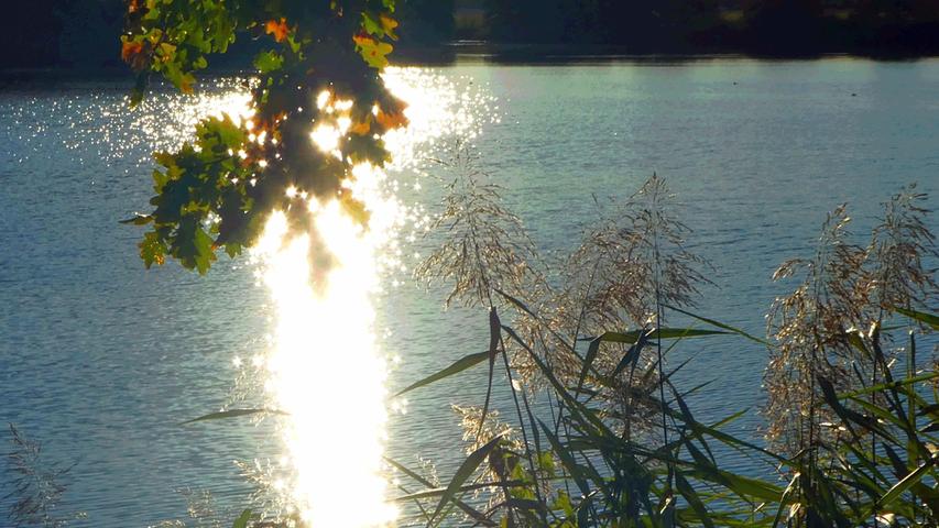 Die gleißende Sonne spiegelt sich als Fontaine im Dummetsweiher, versehen mit glitzernden Sternchen. Mehr Leserfotos finden Sie hier