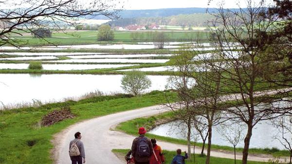 Die Route beginnt in Gremsdorf (Anfahrt nach Gremsdorf mit der VGN-Linie R2 bis Erlangen und weiter mit der Buslinie 205) und führt anschließend auf 13 Kilometern am idyllisch gelegenen Schloss Neuhaus vorbei. Von da aus geht es weiter durch den Aischgrund bis nach Röttenbach. Eine ausführliche Wegbeschreibung finden Sie hier.
