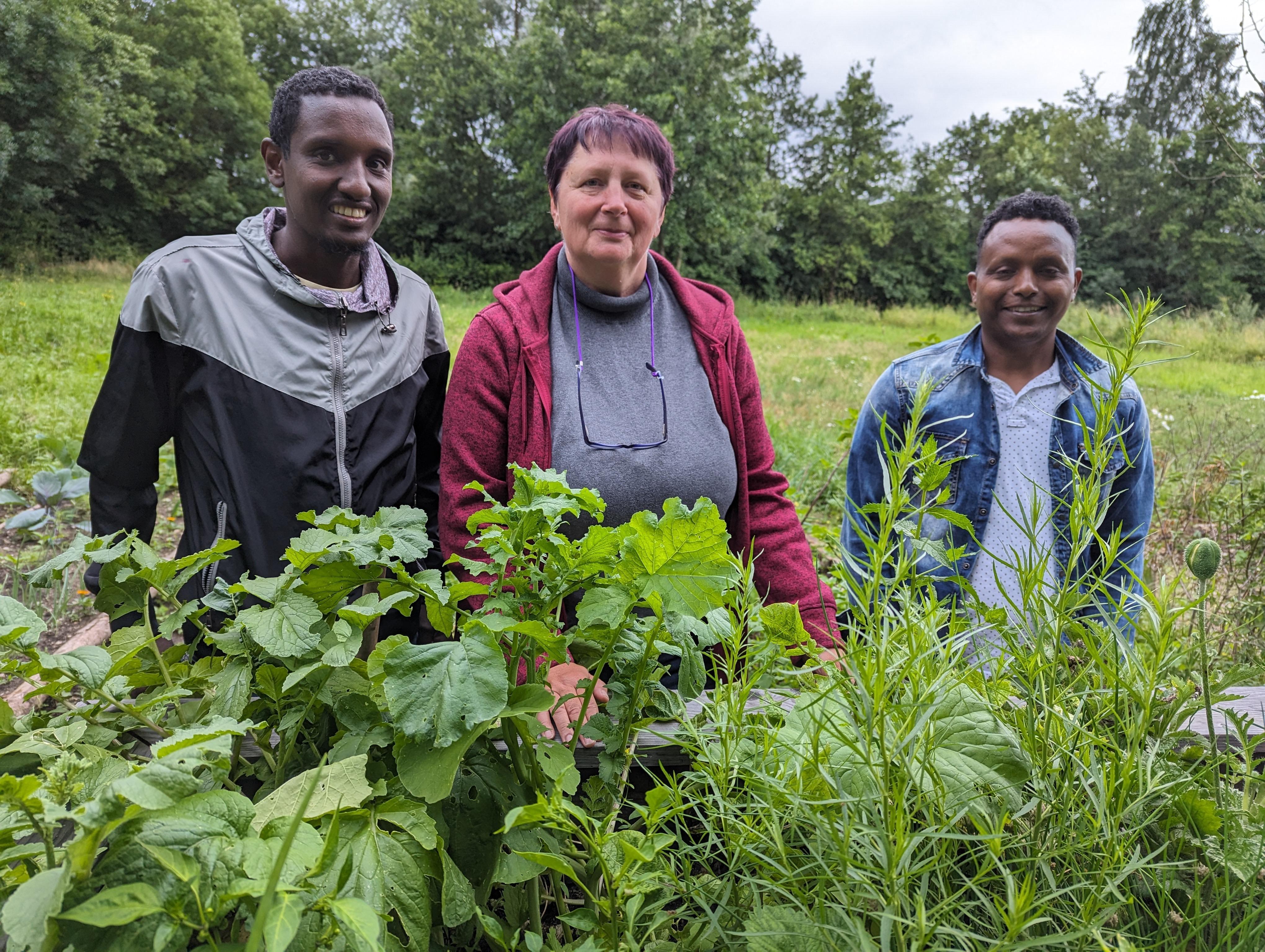 Viel Pflege notwendig Doch jetzt gedeiht der interkulturelle Garten in