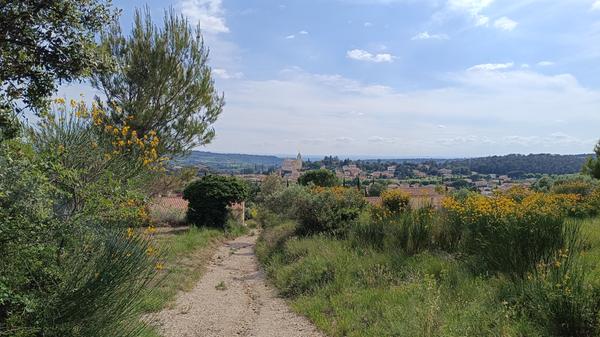 Nur einen Fußmarsch entfernt, befindet sich die kleine Gemeinde Bédoin. Hier gibt es zahlreiche Restaurants mit lokalen Köstlichkeiten.