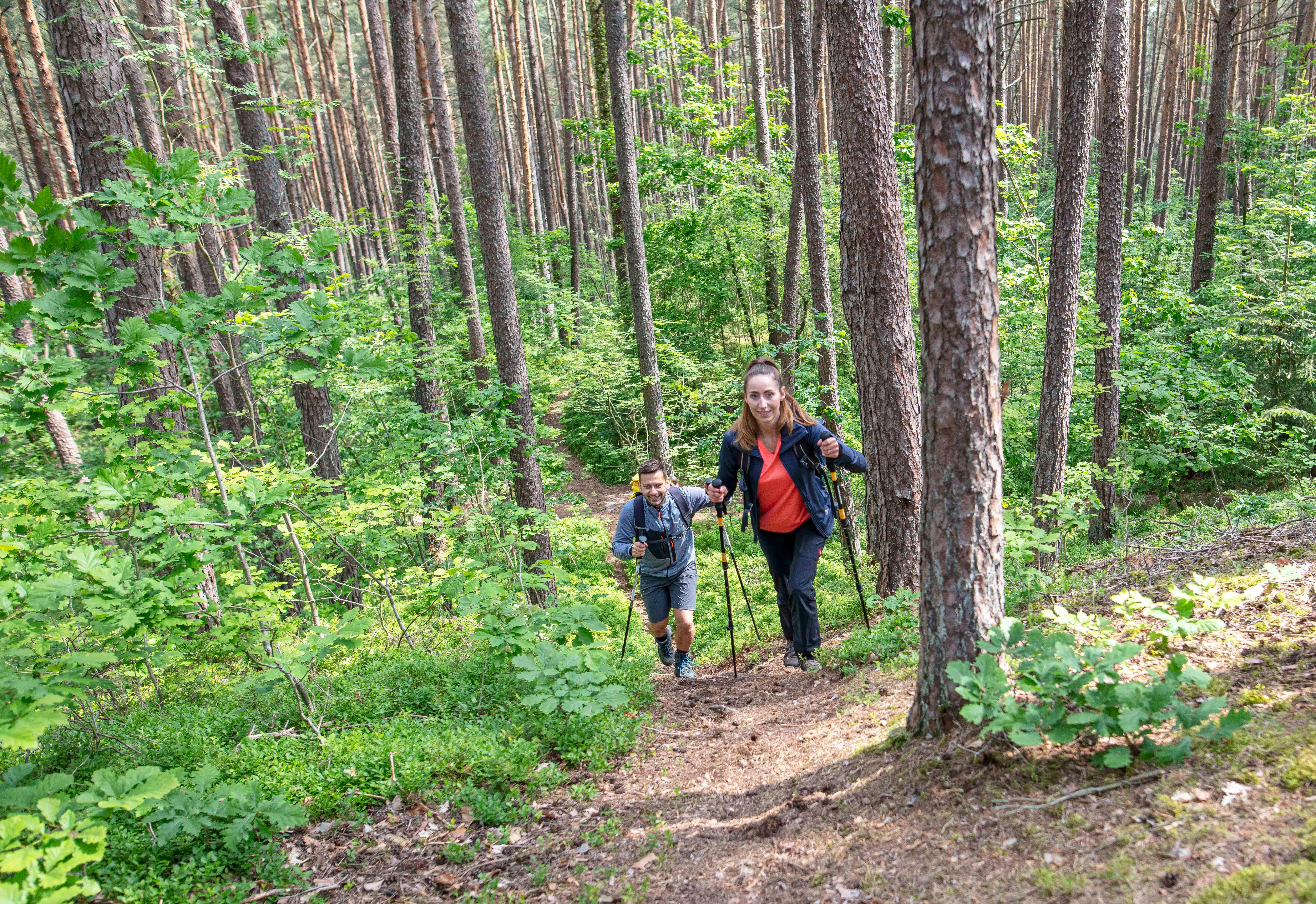 Es geht um Geister, Schätze und die "Hirschenmirl", die in einer Tonne lebte: Ein Volkslehrer aus Ottersdorf zeichnete Anfang des 20. Jahrhunderts 22 mystische Sagen auf, die sich allesamt in den Wäldern am Heidenberg zugetragen haben sollen. Nachzulesen sind sie entlang zweier schöner Wanderstrecken, die von Kammerstein (8 Kilometer) und dem Büchenbacher Ortsteil Kühedorf (7 Kilometer) aus durch die Natur führen. Neben dem Sagenwanderweg locken aber auch der KammerSteinPilzPfad (4 Kilometer) und die idyllische Marienquelle in das Waldgebiet im nördlichen Landkreis Roth.
