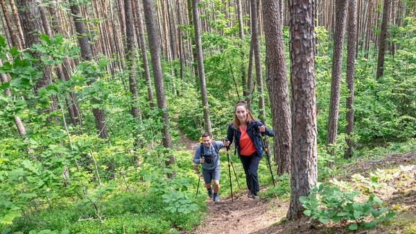 Es geht um Geister, Schätze und die "Hirschenmirl", die in einer Tonne lebte: Ein Volkslehrer aus Ottersdorf zeichnete Anfang des 20. Jahrhunderts 22 mystische Sagen auf, die sich allesamt in den Wäldern am Heidenberg zugetragen haben sollen. Nachzulesen sind sie entlang zweier schöner Wanderstrecken, die von Kammerstein (8 Kilometer) und dem Büchenbacher Ortsteil Kühedorf (7 Kilometer) aus durch die Natur führen. Neben dem Sagenwanderweg locken aber auch der KammerSteinPilzPfad (4 Kilometer) und die idyllische Marienquelle in das Waldgebiet im nördlichen Landkreis Roth.
