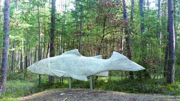 Was macht ein Fisch im Wald? Die Antwort darauf gibt es auf dem Kunstweg, der sich auf mehr als neun Kilometern durch Rednitzhembach, das ruhige Rednitztal und den schattigen Wald weiter südlich zieht. Angefangen hat alles 1994/1995 mit dem im Flusstal aufgestellten "Holzmoh", seither ist eine Open-Air-Galerie mit mehr als 50 Kunstwerken daraus geworden. Der Kunstweg eignet sich ebenso für Radler und sportliche Spaziergänger wie für kurzweilige Runden mit dem Kinderwagen oder Besuche von Hobby-Poeten.