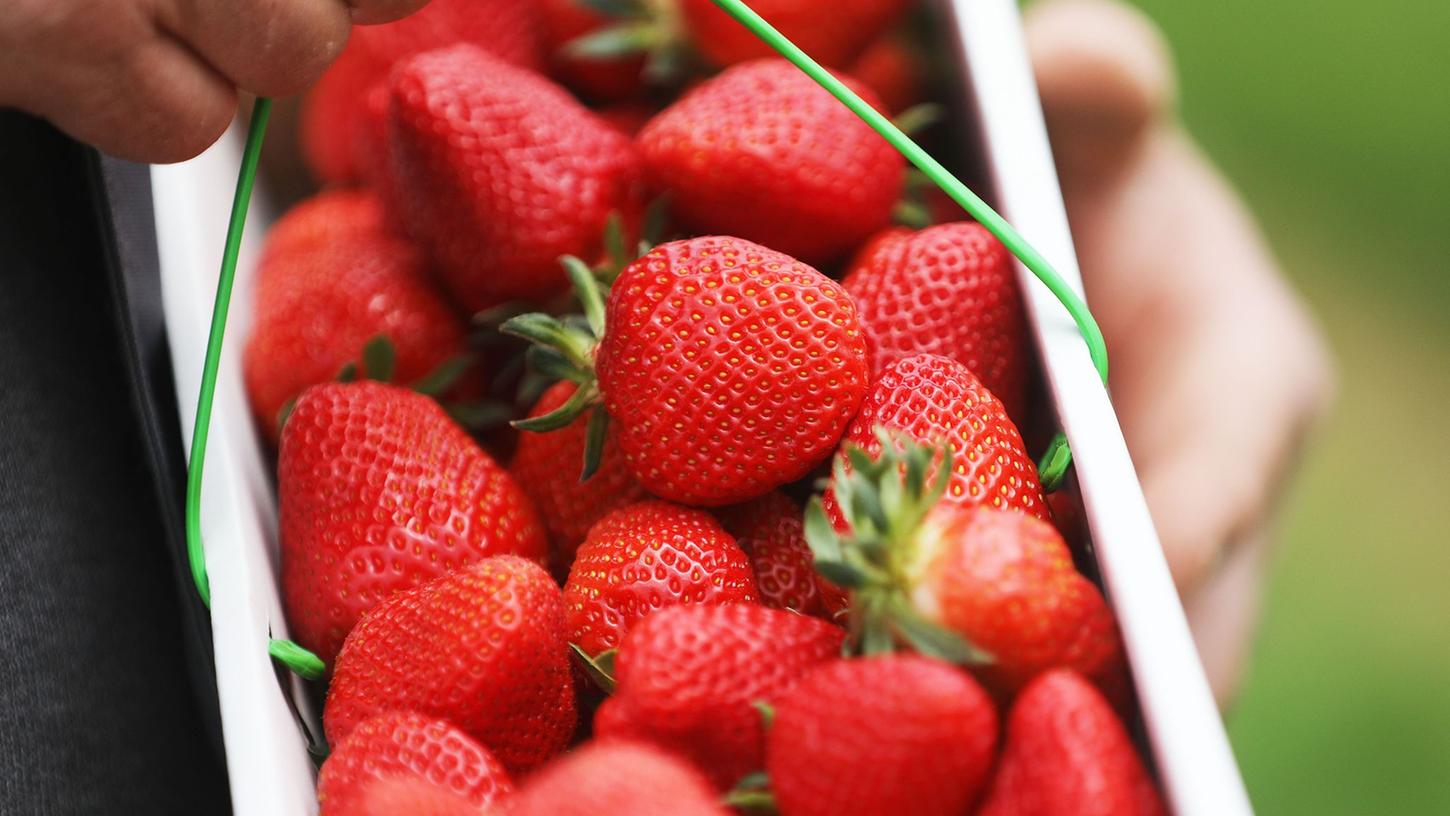 Hepatitis A auf Erdbeeren entdeckt. (Symbolbild) 