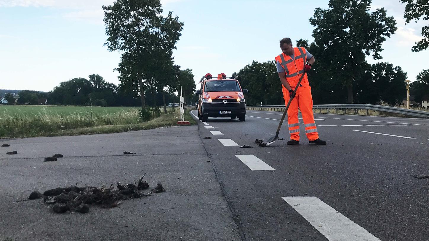 Ungefähr 60 tote Stare liegen auf der B13 nahe Laubenzedel und an der Einmündung/Kreuzung zum Surf-Center Schlungenhof. Ein Mitarbeiter des staatlichen Bauamts entfernt die Vögel von der Straße. Ungefähr 60 tote Stare liegen auf der B13 nahe Laubenzedel und an der Einmündung/Kreuzung zum Surf-Center Schlungenhof. Ein Mitarbeiter des staatlichen Bauamts entfernt die Vögel von der Straße.