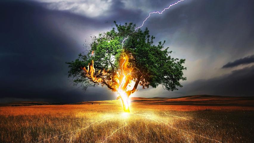 Blitzeinschlag: Die Elektrizität breitet sich kreisförmig aus. Deshalb ist es auch gefährlich, sich in der Umgebung des getroffenen Baums aufzuhalten.