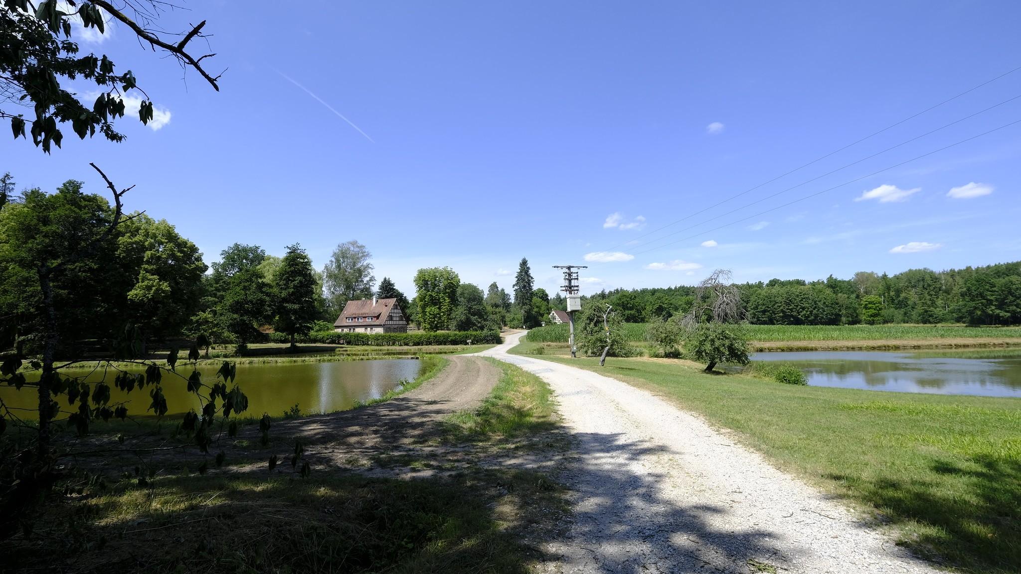 Eine Lichtung, idyllisch gelegen im Wald. Hier lässt es sich gut wandern und entspannen.