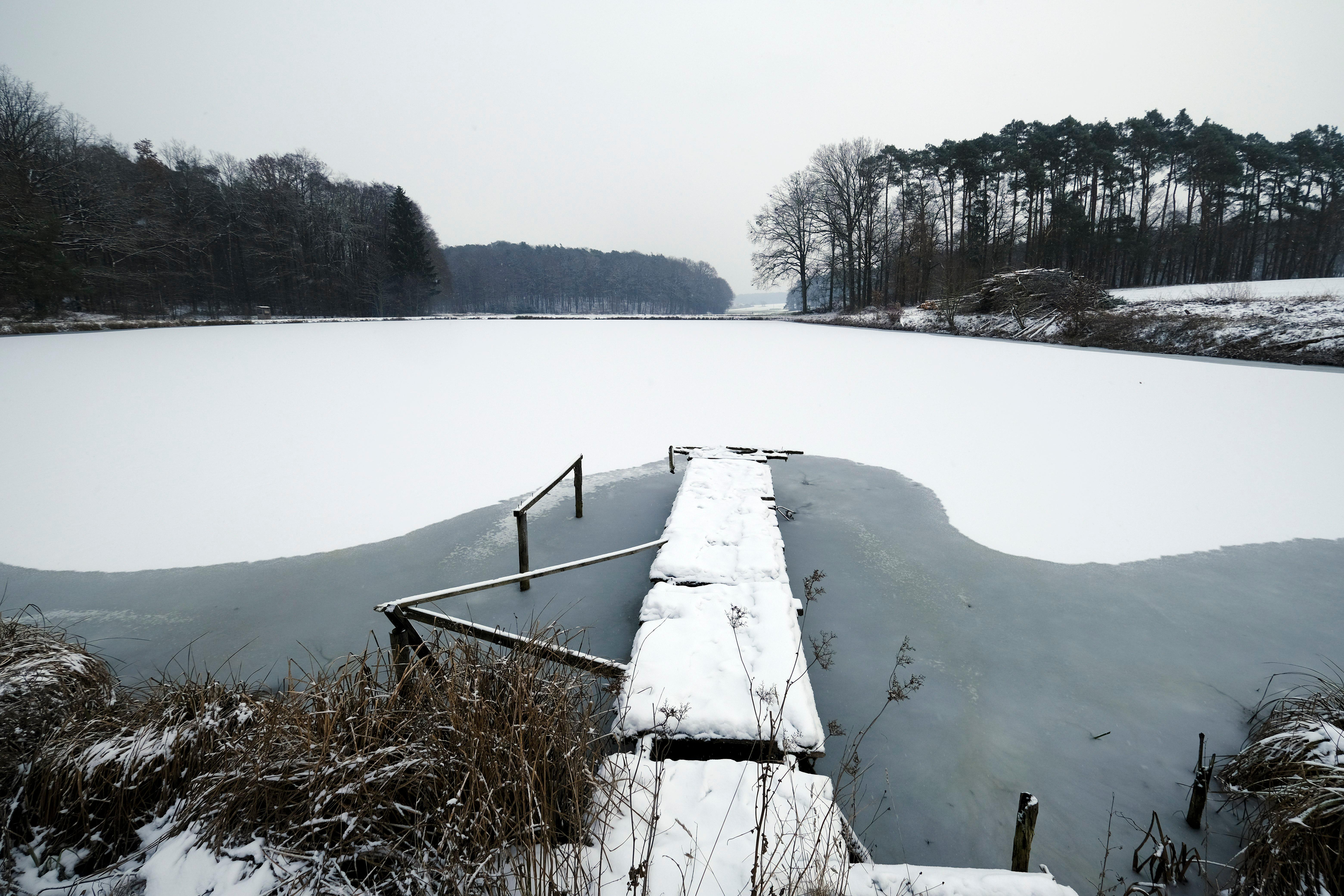 Entlang der Weiher ...