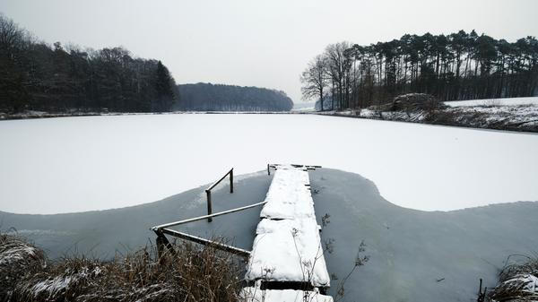 Entlang der Weiher ...