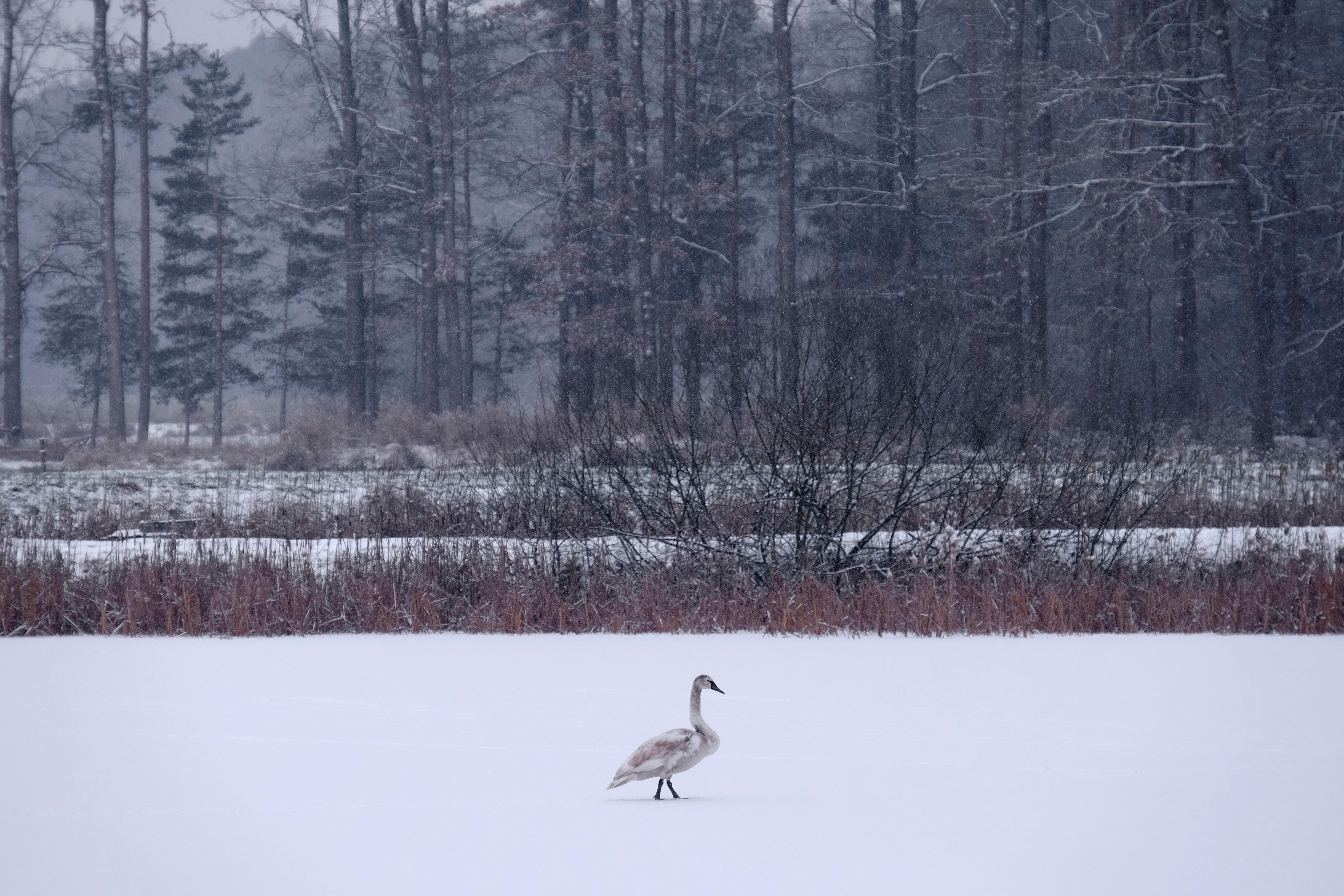 ... gibt es so manche verlockende Fotomotive.