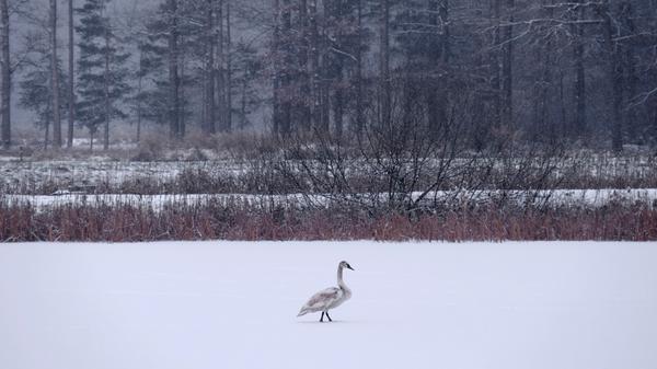 ... gibt es so manche verlockende Fotomotive.
