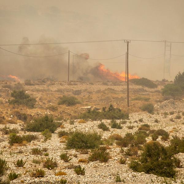 Reisen trotz Waldbränden - eine gute Idee?