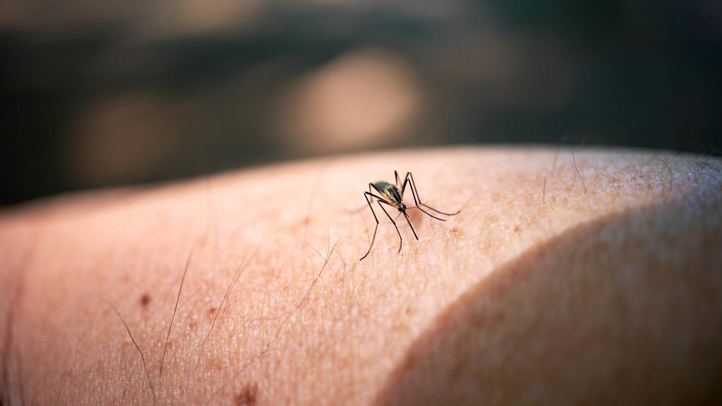 Mückenstiche sind juckend und unangenehm. Aber was hilft gegen Mücken?