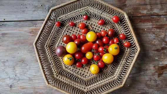 Tomaten einfrieren: Tipps für Haltbarkeit und Geschmack