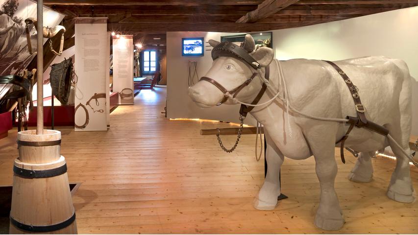 Eine interaktive Ausstellung lädt zum Mitmachen und Ausprobieren ein: zum Beispiel beim Kräftemessen an einem Ochsengeschirr. Eine interaktive Ausstellung lädt zum Mitmachen und Ausprobieren ein: zum Beispiel beim Kräftemessen an einem Ochsengeschirr.