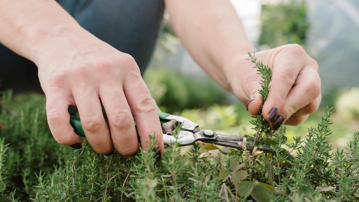 Unsere Hände gebrauchen wir bei der Arbeit, Hobbies, für alles mögliche. Zitternde Hände können das Leben ganz schön erschweren. Unsere Hände gebrauchen wir bei der Arbeit, Hobbies, für alles mögliche. Zitternde Hände können das Leben ganz schön erschweren.