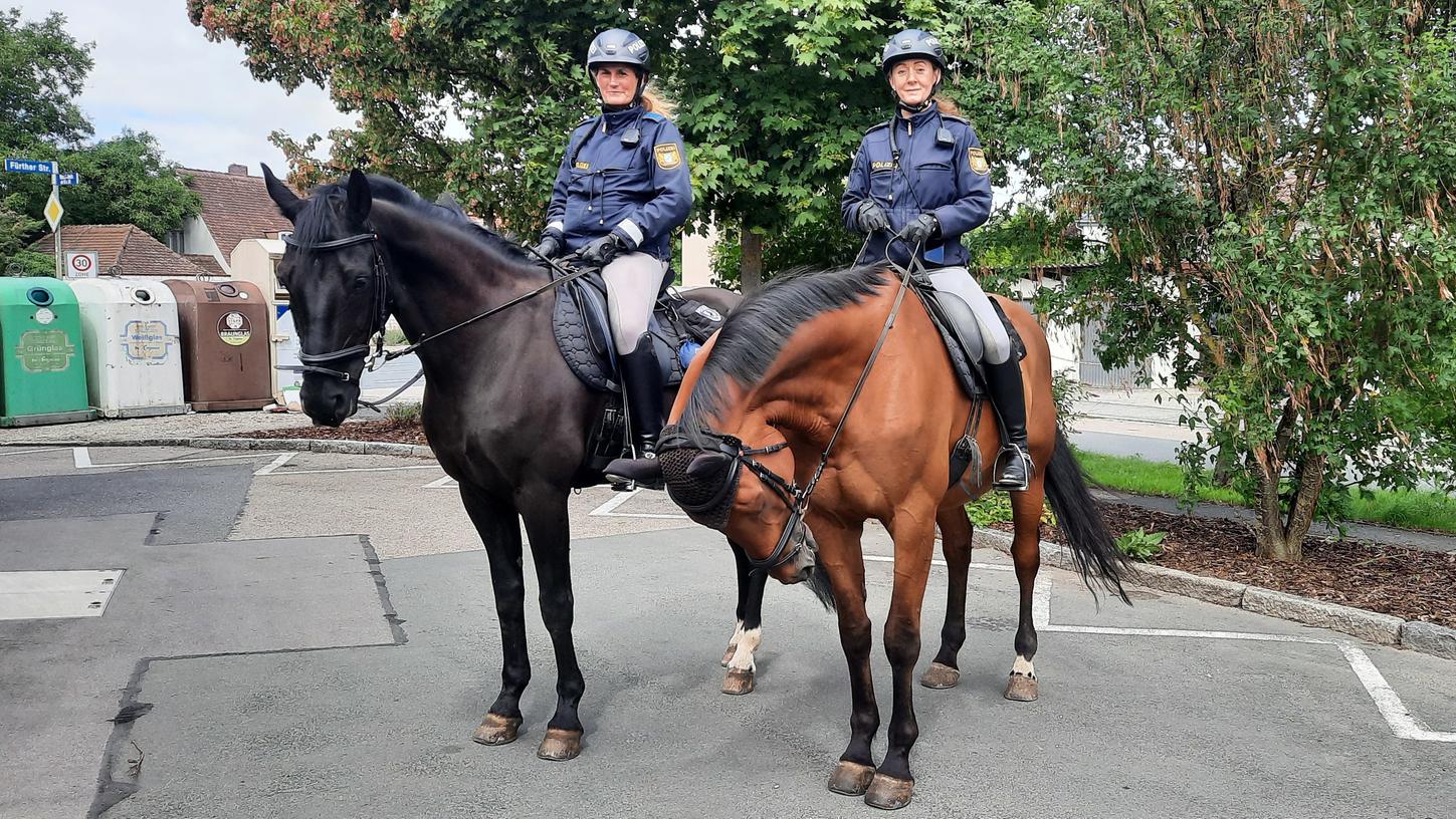 Die Reiterstaffel des Polizeipräsidiums Mittelfranken ist derzeit in Schwabach unterwegs. Tierische Kollegen der Beamten sind die Hengste Hermes (rechts) und Edmund (links). Unser Foto ist in der Fürther Straße entstanden, später ging es für die berittene Streife aber auch durch die Stadtmitte und über den Marktplatz. Die Reiterstaffel des Polizeipräsidiums Mittelfranken ist derzeit in Schwabach unterwegs. Tierische Kollegen der Beamten sind die Hengste Hermes (rechts) und Edmund (links). Unser Foto ist in der Fürther Straße entstanden, später ging es für die berittene Streife aber auch durch die Stadtmitte und über den Marktplatz.