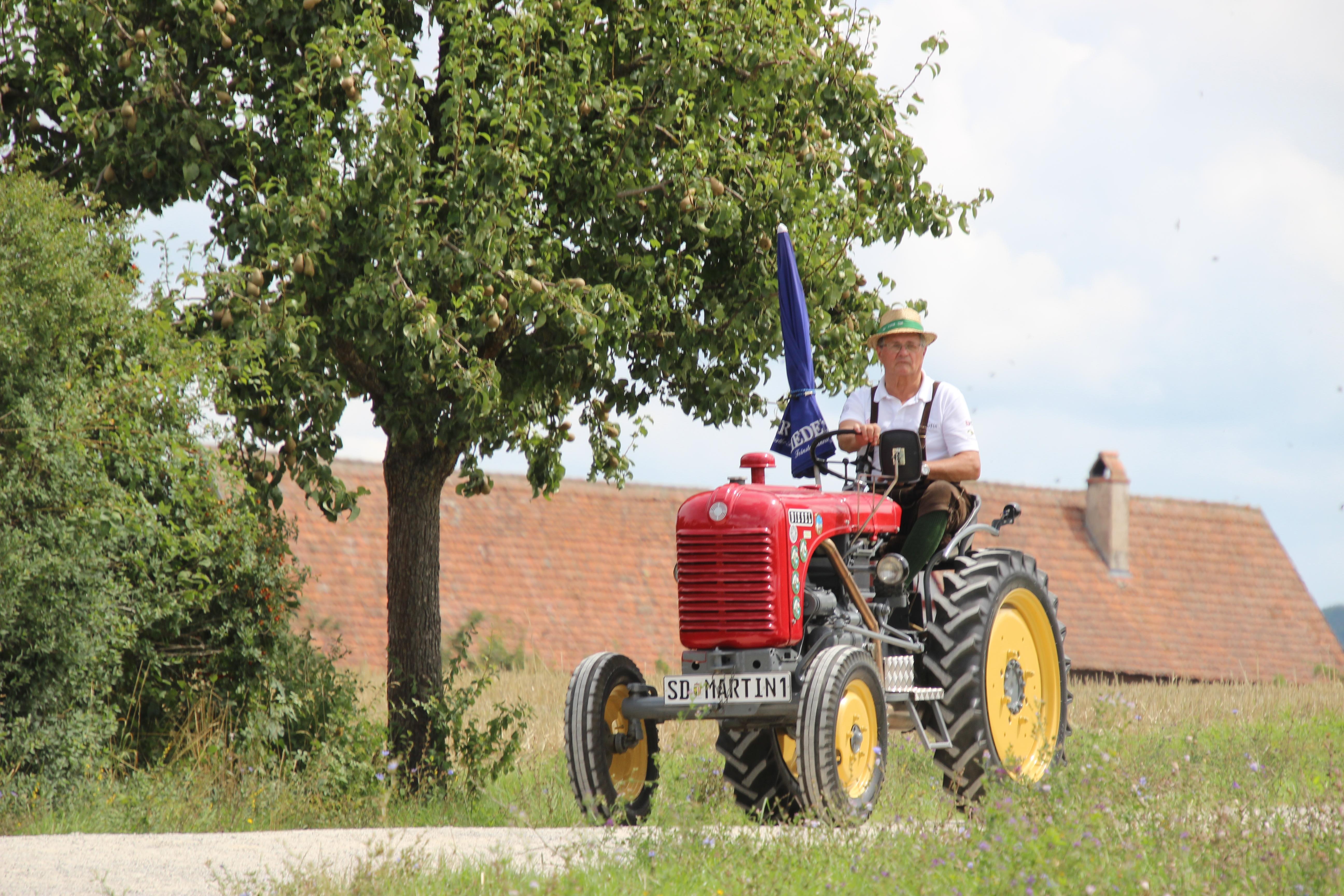 Um die unterschiedlichen Bulldogs zu bestaunen kamen auch viele Familien mit kleinen Kindern auf das Museumsgelände. 