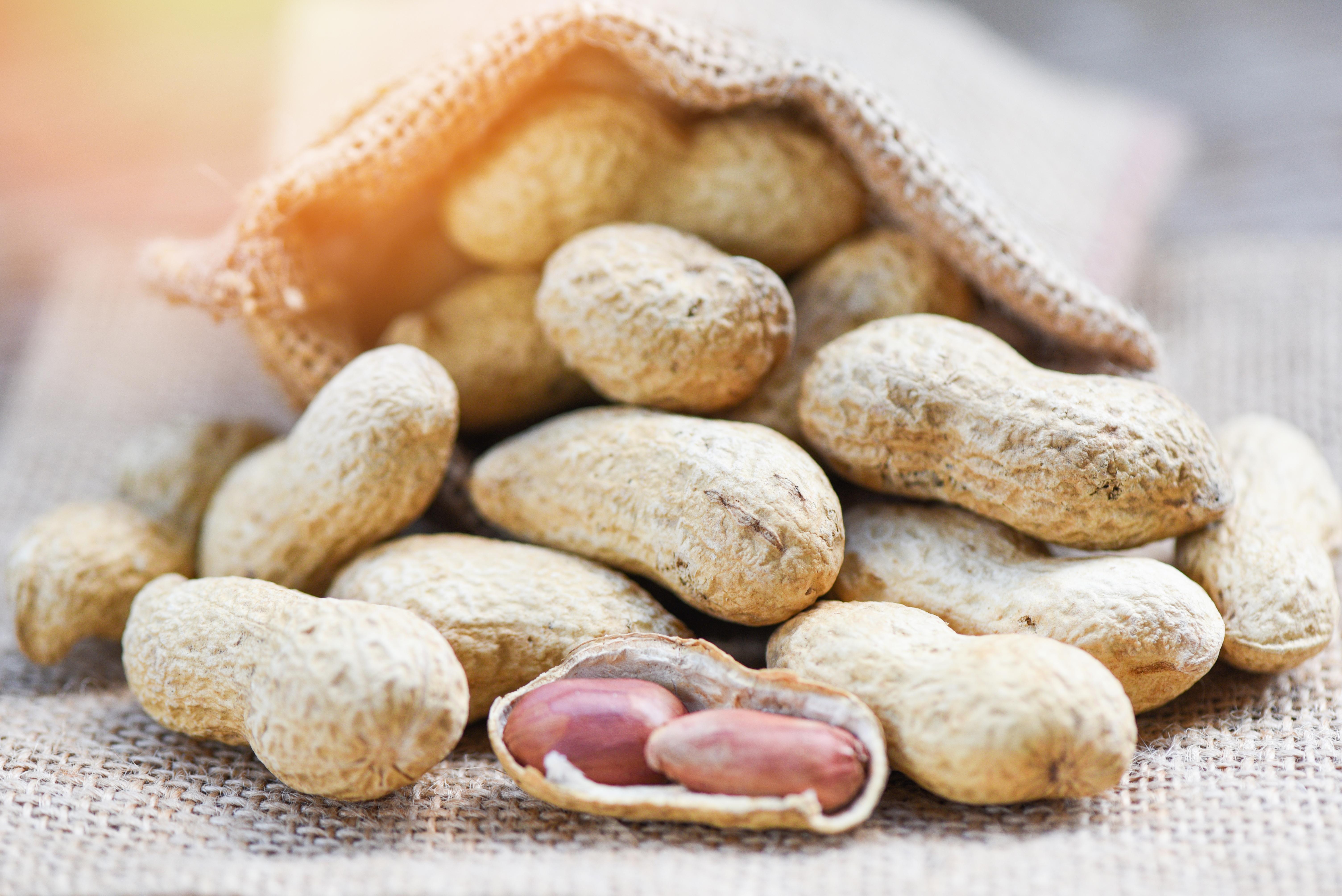 Peanut in shells for food or snack - Roasted peanuts on sack background
