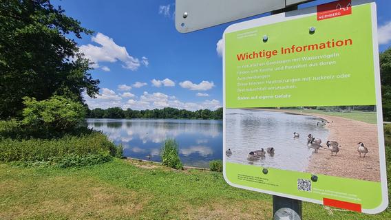 Stadt Nürnberg stellt Warnschilder auf: Darum sollte im Kleinen Dutzendteich nicht gebadet werden