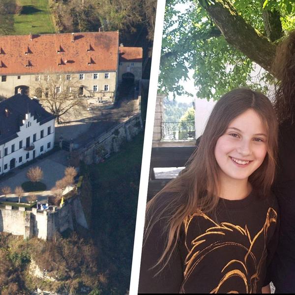 Moehren-Collage.jpg