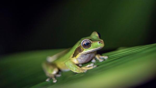 imago images 96523380