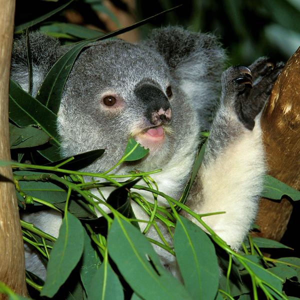 weitere interessante Themen: