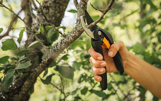 Fiskars Gartenschere