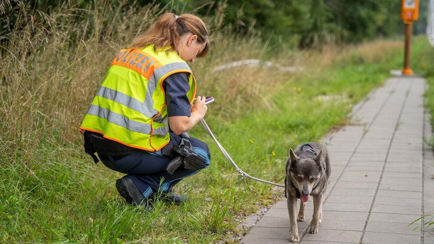 Er hatte Glück: Der kleine Hund der Fahrer blieb trotz des Überschlags unverletzt und wurde von der Polizei versorgt. Er hatte Glück: Der kleine Hund der Fahrer blieb trotz des Überschlags unverletzt und wurde von der Polizei versorgt.