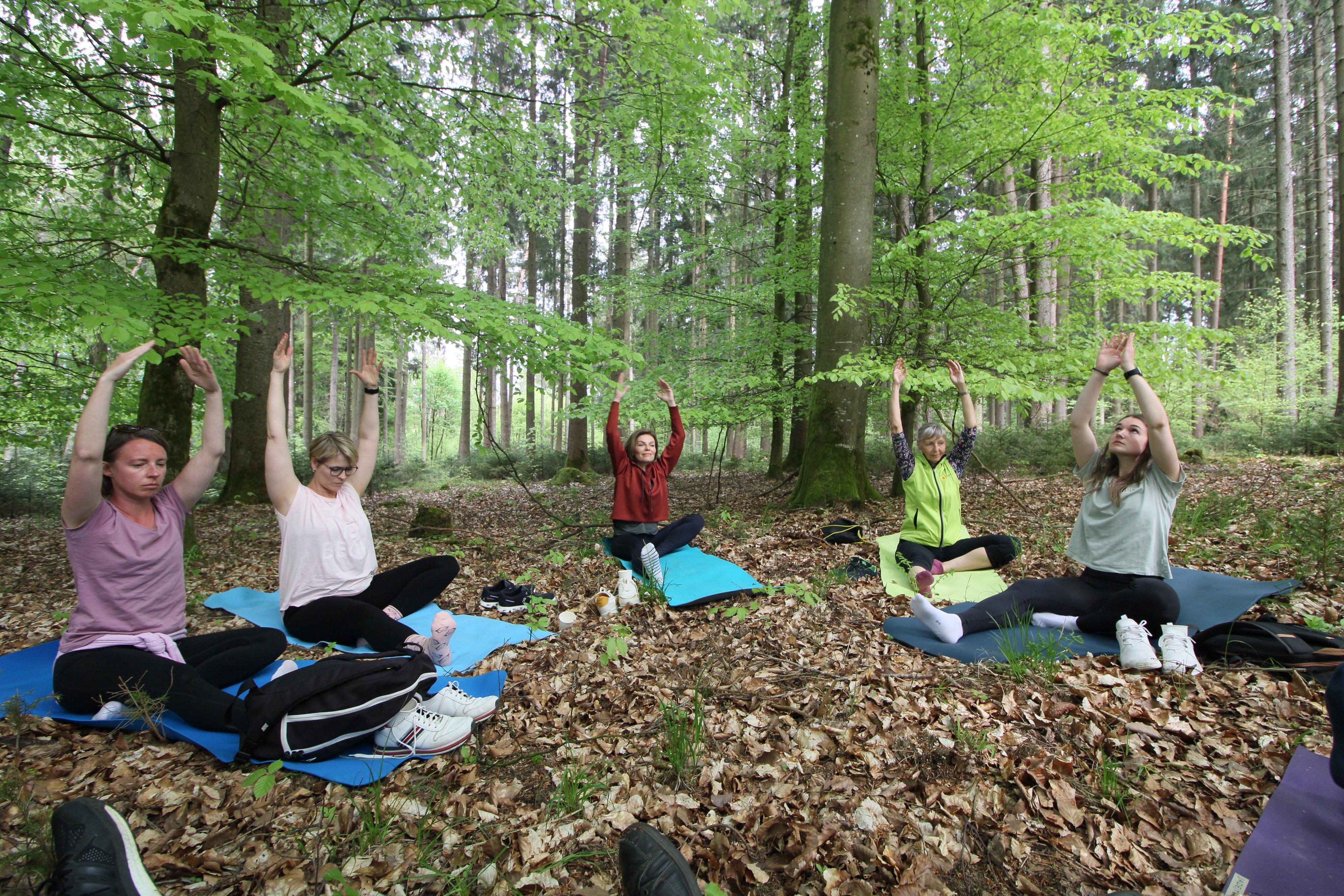Waldyoga bei Treuchtlingen "Jede Baumart schafft eine eigene Atmosphäre"