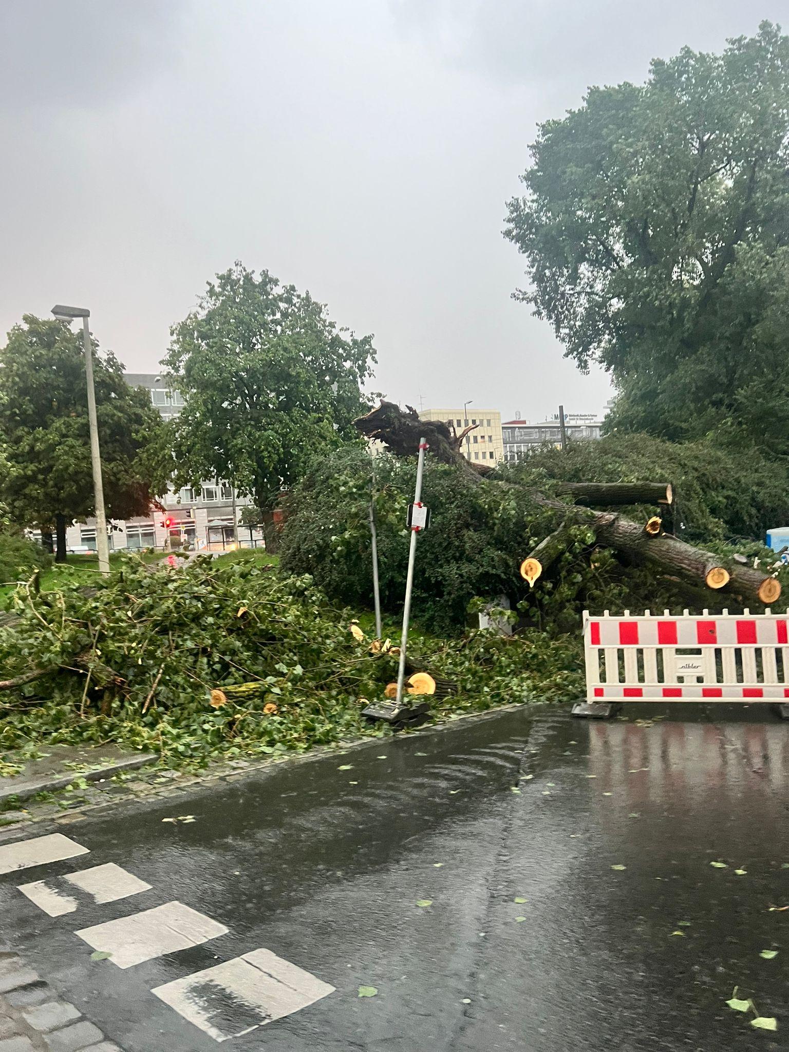 Chaos am Rathenauplatz.
