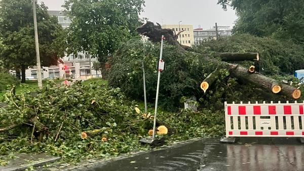 Chaos am Rathenauplatz.