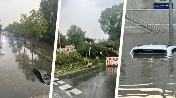 2023-7-4_collage (2).jpg