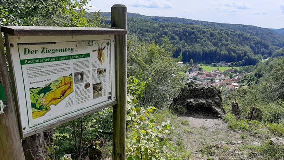 Ab in die Hersbrucker Schweiz: Über Ziegen, ein schlaues Füchslein und ganz viel Kultur