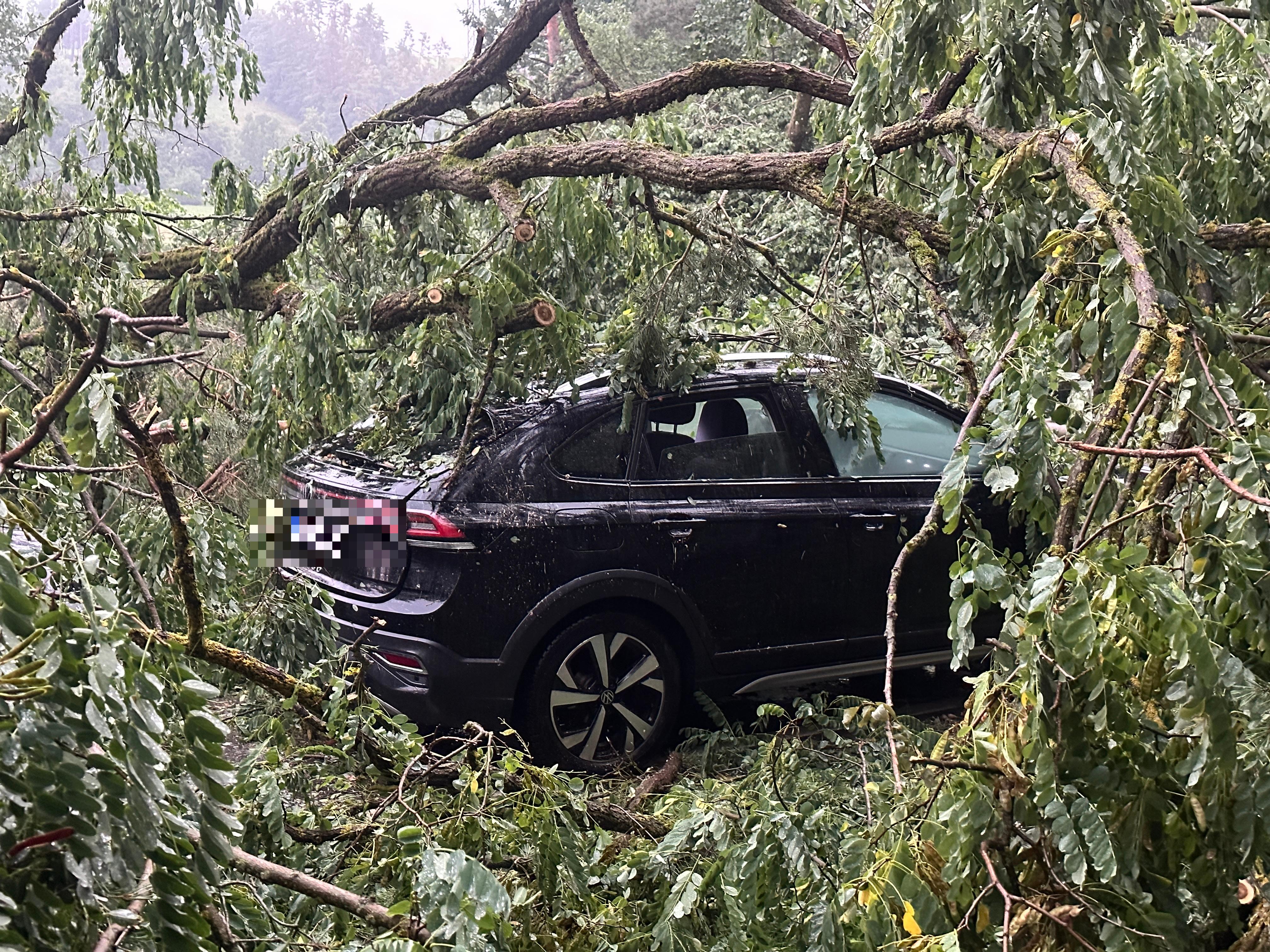 Apokalyptische Bilder auf einer Staatsstraße bei Ramsberg: Dort hat vermutlich ein Downburst, ein starker Fallwind aus einer Gewitterzelle, mehrere hundert Bäume wie Streichhöltzer umgeknickt - die Autos, die im Waldabschnitt auf der Straße unterwegs waren, waren den umstürzenden Bäumen schutzlos ausgeliefert. Wie durch ein Wunder wurden nur wenige Menschen verletzt. Zwei Personen mussten ins Krankenhaus gebracht werden.