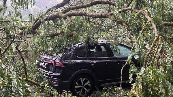 Apokalyptische Bilder auf einer Staatsstraße bei Ramsberg: Dort hat vermutlich ein Downburst, ein starker Fallwind aus einer Gewitterzelle, mehrere hundert Bäume wie Streichhöltzer umgeknickt - die Autos, die im Waldabschnitt auf der Straße unterwegs waren, waren den umstürzenden Bäumen schutzlos ausgeliefert. Wie durch ein Wunder wurden nur wenige Menschen verletzt. Zwei Personen mussten ins Krankenhaus gebracht werden.