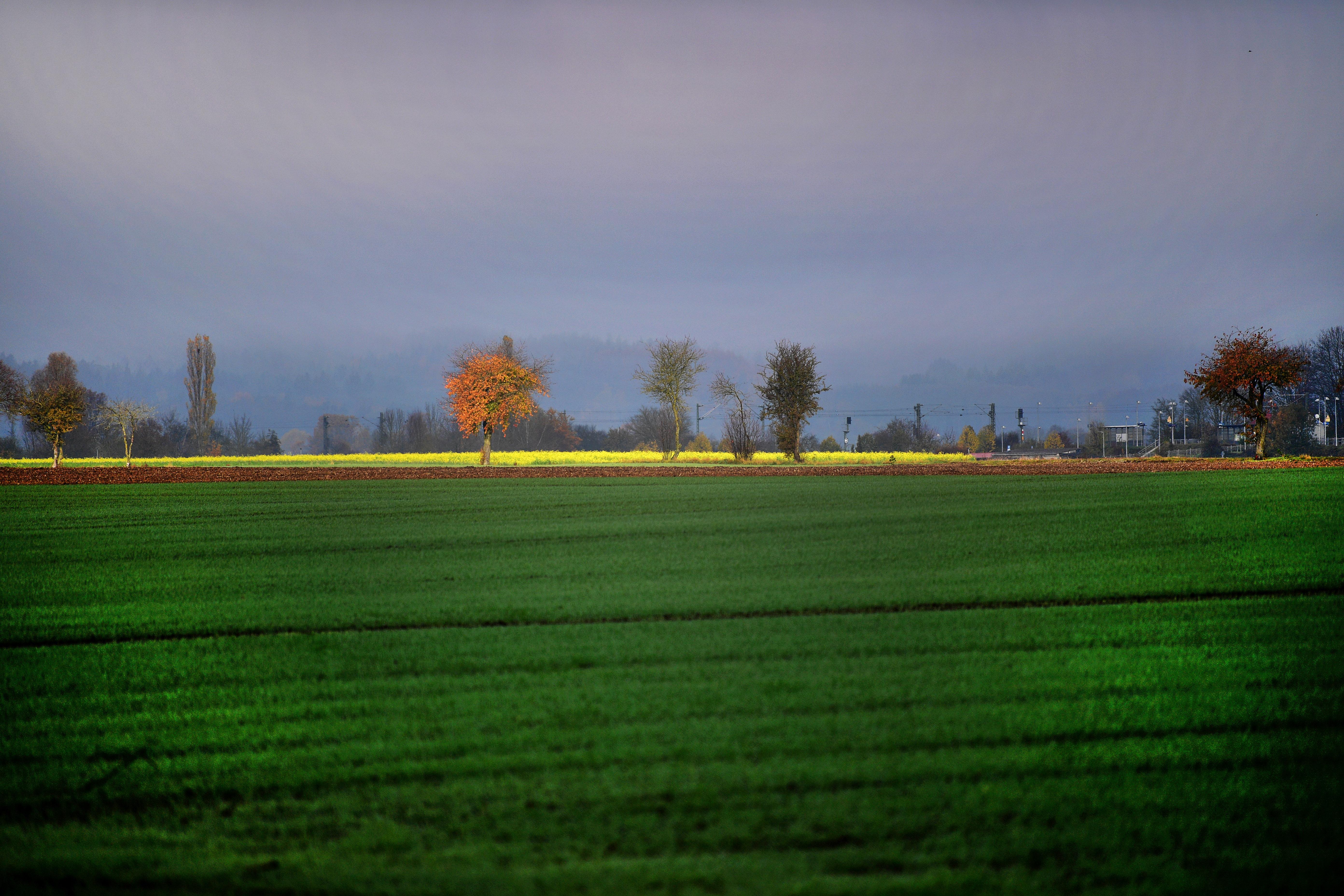 Vom S-Bahn-Halt in Pölling geht es hinüber durch die Flur nach Rittershof.