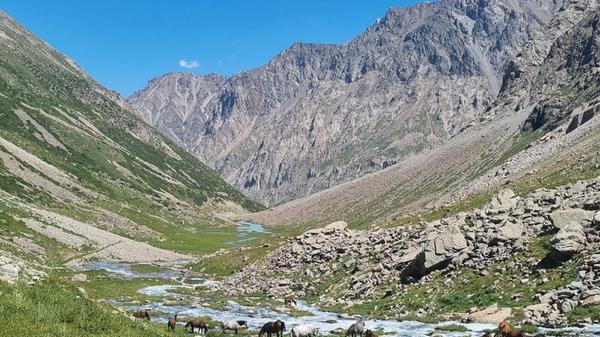 Freilaufende Pferde im Ala-Archa Nationalpark auf dem Weg zu einem ehemaligen Soviet Ski Resort (Kirgistan).