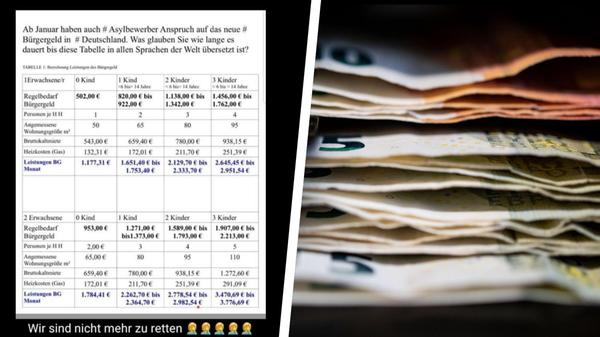 2023-7-2_collage (3).jpg