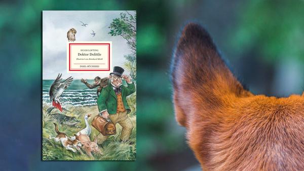 Ein Klassiker, wiederentdeckt: Die Insel-Bücherei hat "Doktor Dolittle" neu übersetzen und illustrieren lassen – in Zeiten von Rassismus-Debatten auch schon ein Statement. Aber: Wer könnte den bescheidenen Landarzt, der mit den Tieren spricht und sie heilen kann, aus der Feder von Hugh Lofting (1886-1947) nicht mögen? Die Afrika-Expedition des Doktors mit seinem originellen Zoo unter der Leitung von Papageiendame Polynesia lässt sich bis heute gut als fantasievolle Abenteuerreise lesen. Am Text von Eike Schönfeld, der einige heute vergiftete Begriffe und Episoden aus der Originalfassung von 1920 ausspart, und den üppigen Zeichnungen von Reinhard Michl können sich Kinder und Erwachsene erfreuen. (Insel, 18 Euro) Isabel Lauer